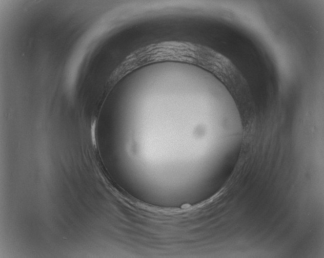 X0000060740047200511100923