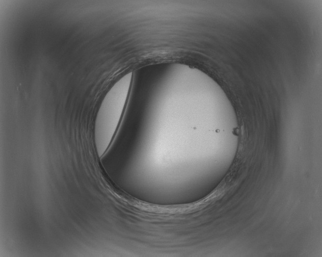 X0000060740048200511100923