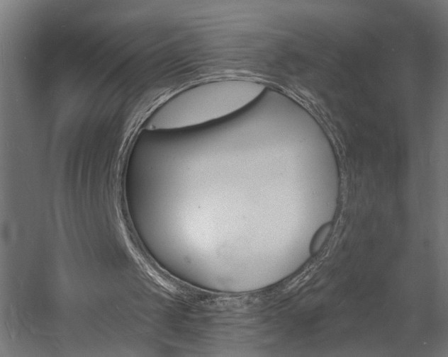 X0000060740049200511100922