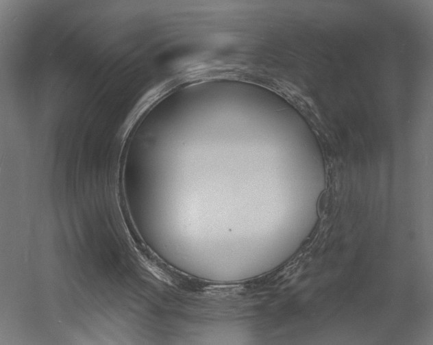 X0000060740051200511100922