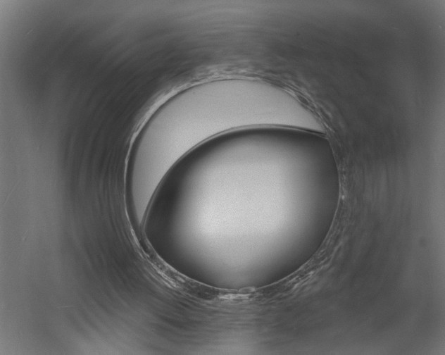 X0000060740052200511100922