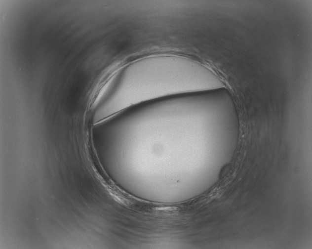 X0000060740053200511100922