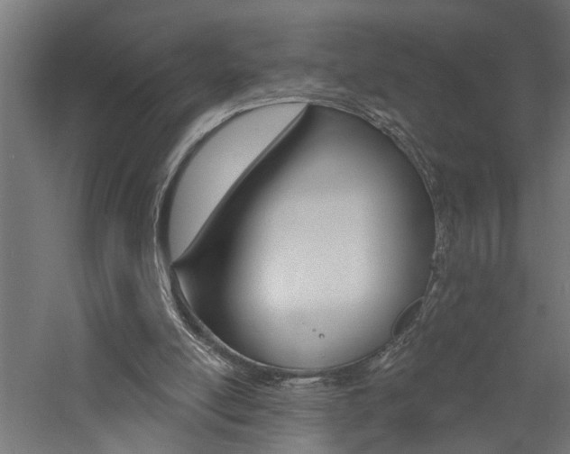 X0000060740054200511100922