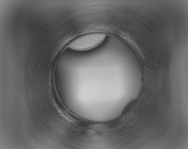 X0000060740058200511100922