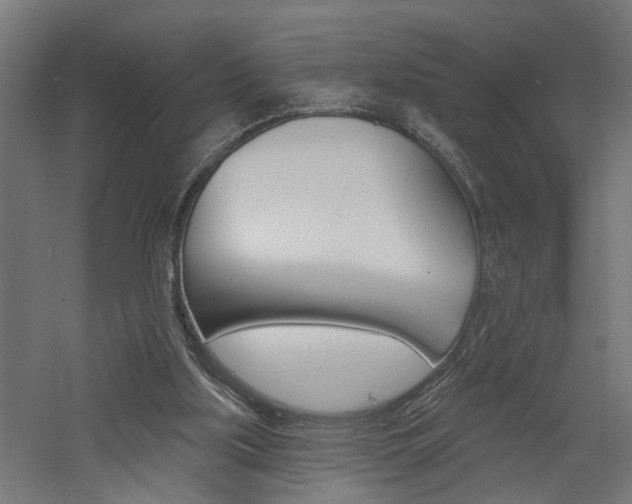 X0000060740059200511100922