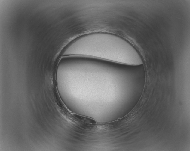 X0000060740060200511100922