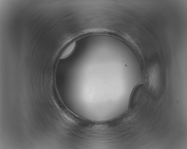 X0000060740063200511100922