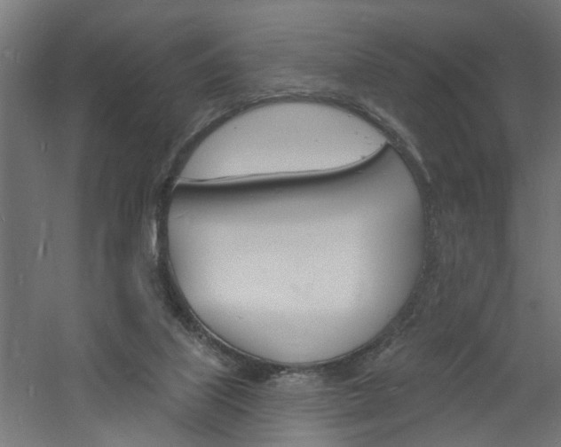 X0000060740067200511100922