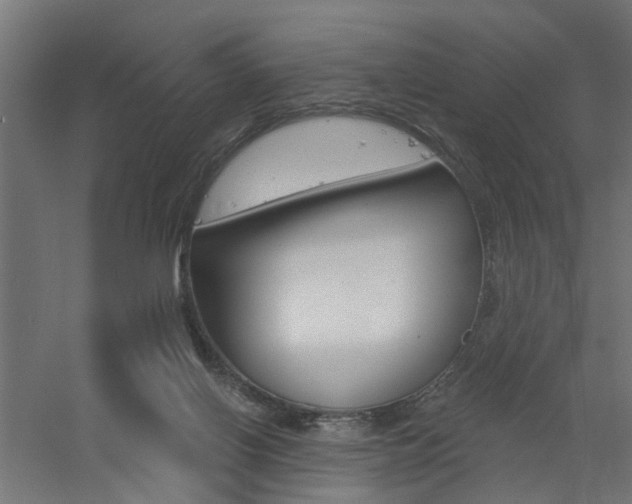 X0000060740070200511100922