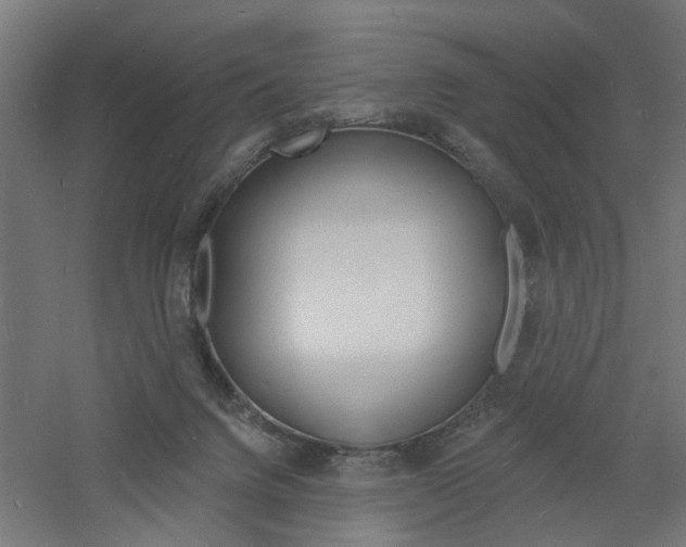 X0000060740072200511100923