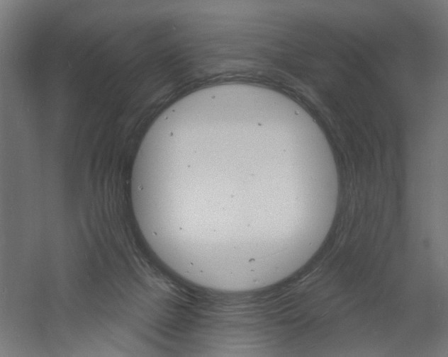 X0000060740073200511100923