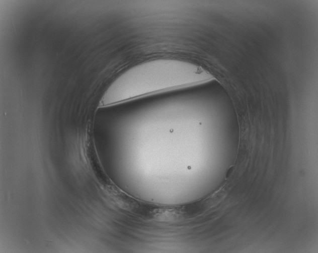 X0000060740074200511100923