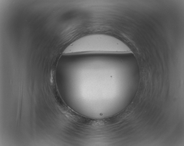 X0000060740075200511100923