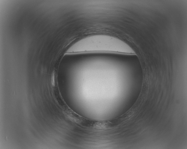 X0000060740076200511100923