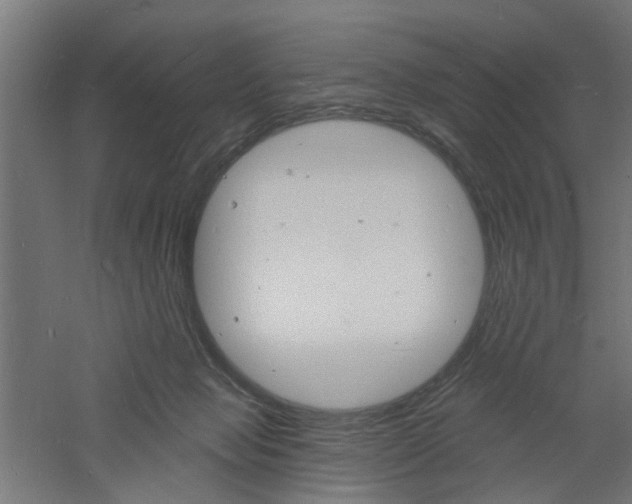 X0000060740077200511100923