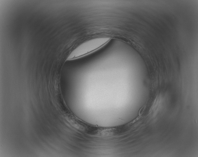 X0000060740078200511100923