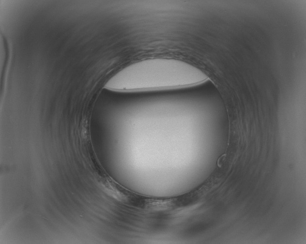 X0000060740081200511100923