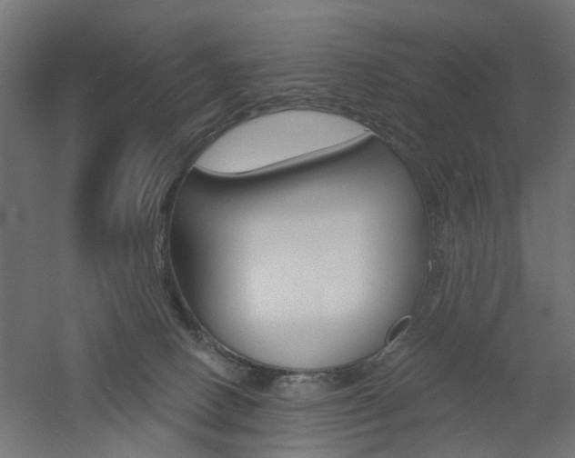 X0000060740082200511100923