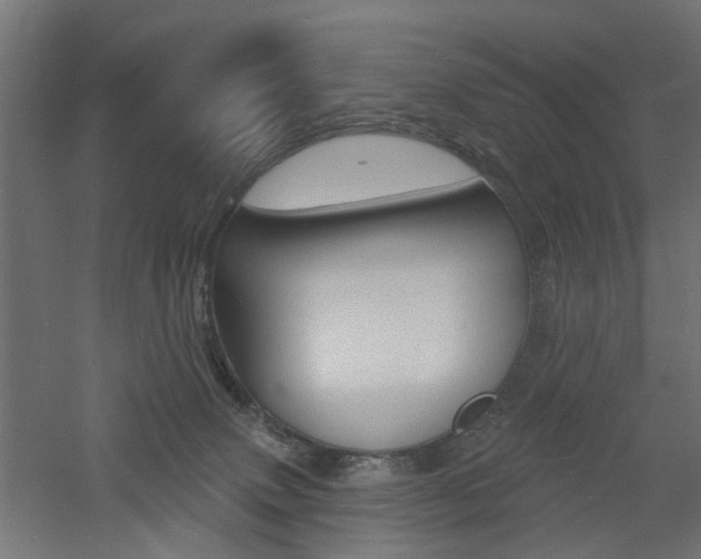 X0000060740083200511100923