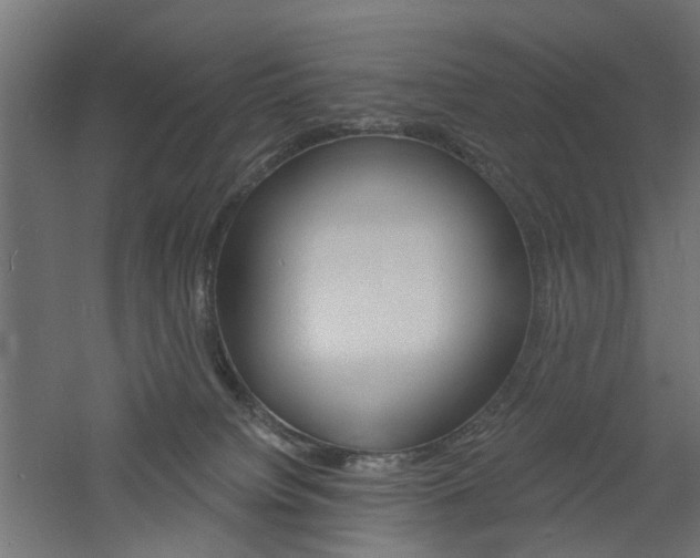 X0000060740084200511100923