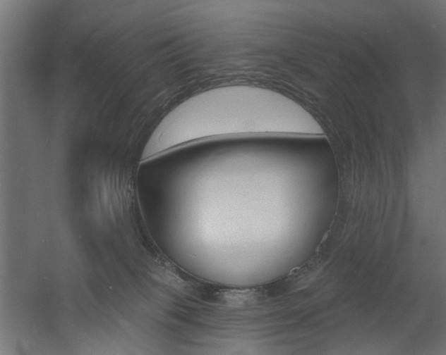 X0000060740085200511100923