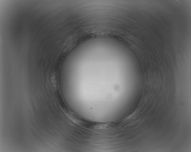 X0000060740086200511100923