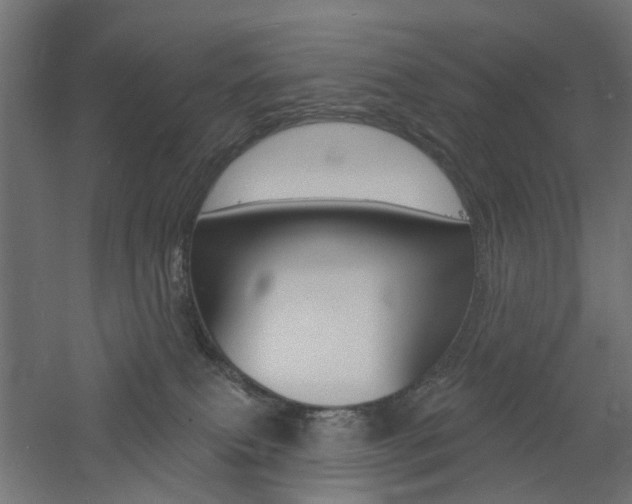 X0000060740087200511100923