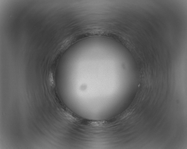 X0000060740089200511100923