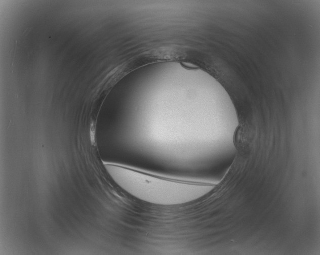 X0000060740095200511100923