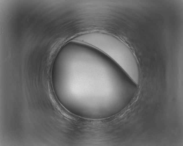 X0000060740097200511100922