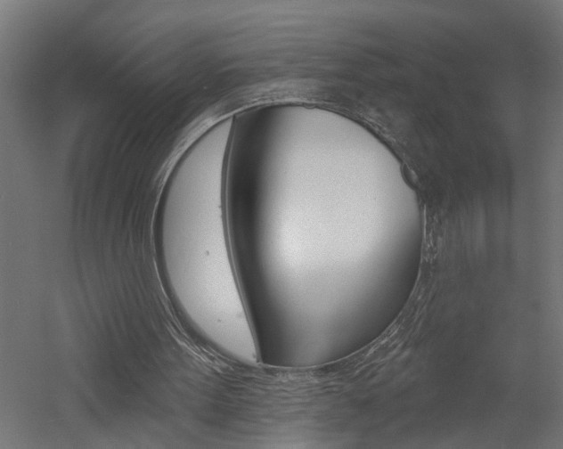 X0000060740099200511100922