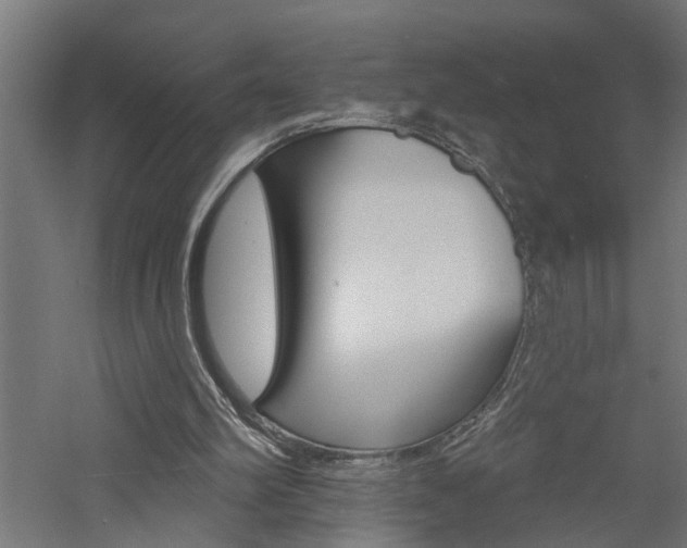 X0000060740102200511100922