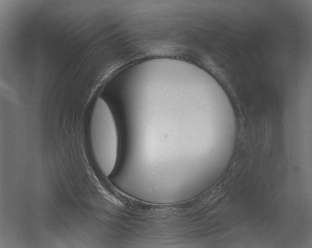 X0000060740106200511100922