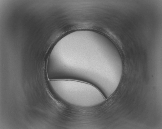 X0000060740107200511100922