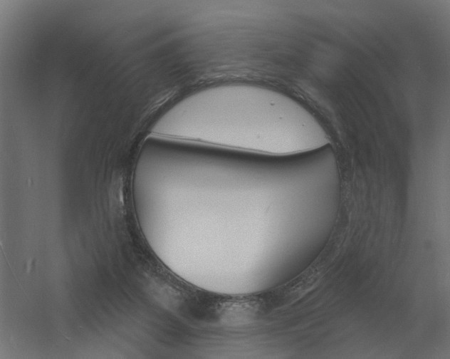 X0000060740115200511100922