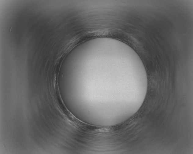 X0000060740118200511100922