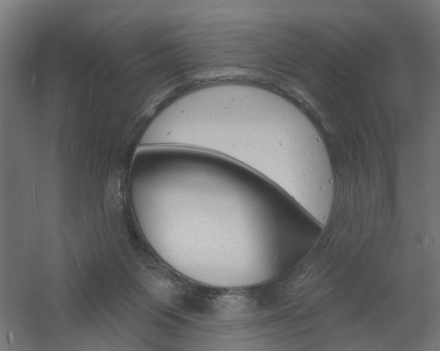 X0000060740119200511100922