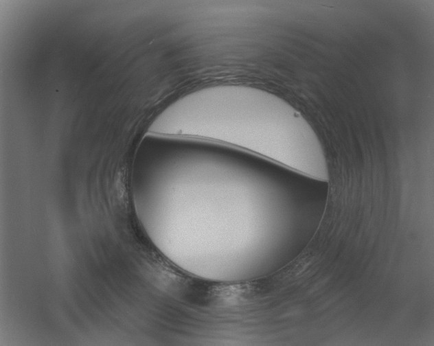 X0000060740131200511100922