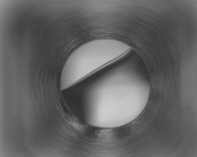 X0000060740132200511100922