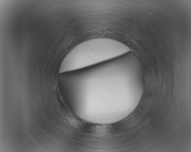 X0000060740134200511100921