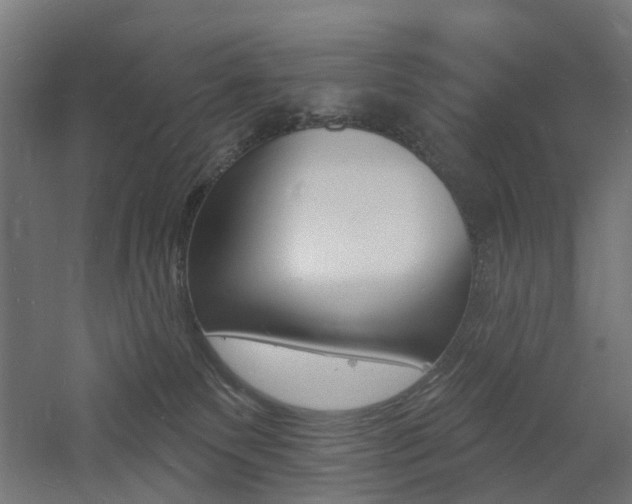 X0000060740135200511100921