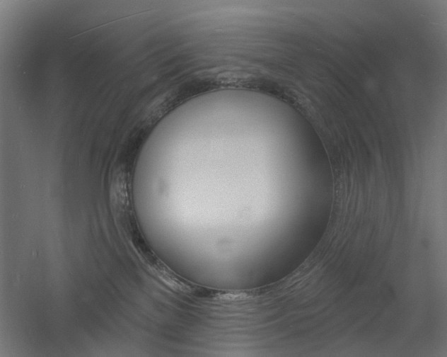 X0000060740137200511100921