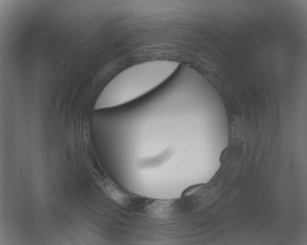 X0000060740138200511100921