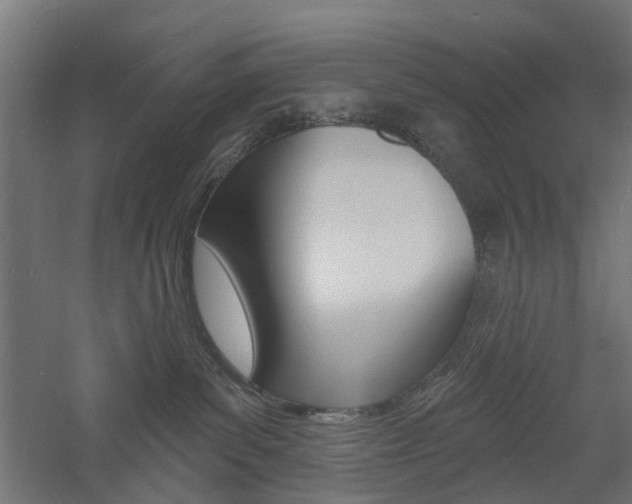 X0000060740139200511100921