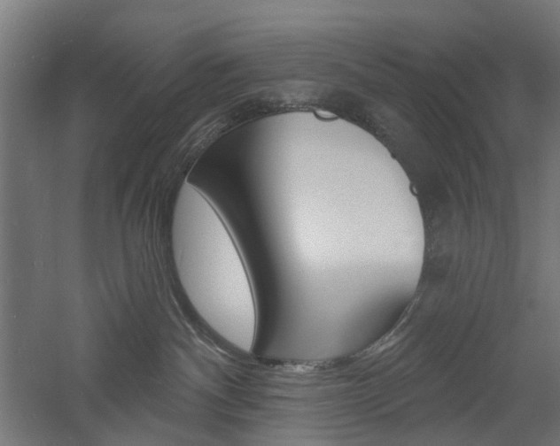 X0000060740140200511100921