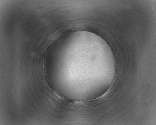 X0000060740144200511100921