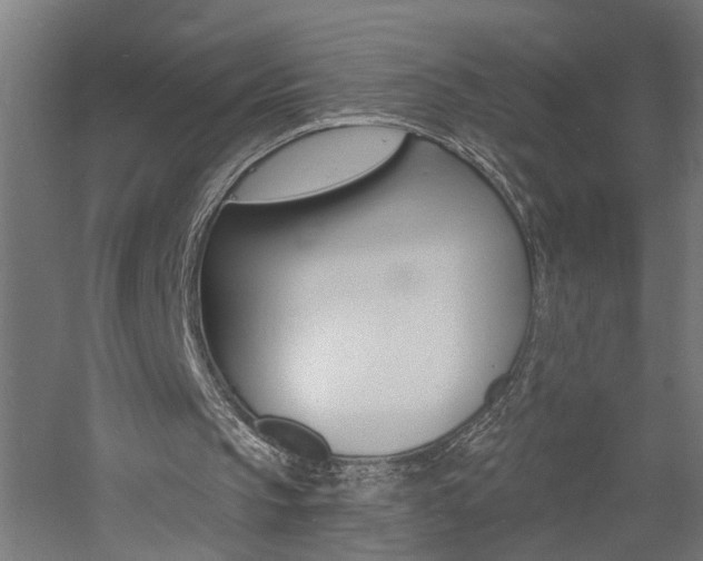 X0000060740145200511100920