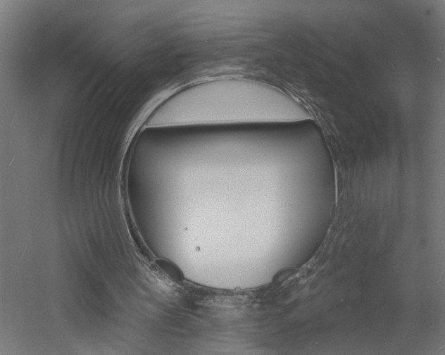 X0000060740147200511100921