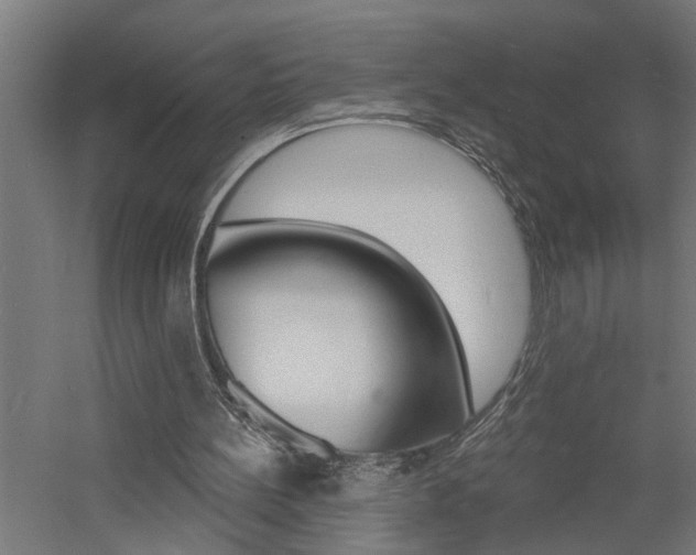 X0000060740148200511100921