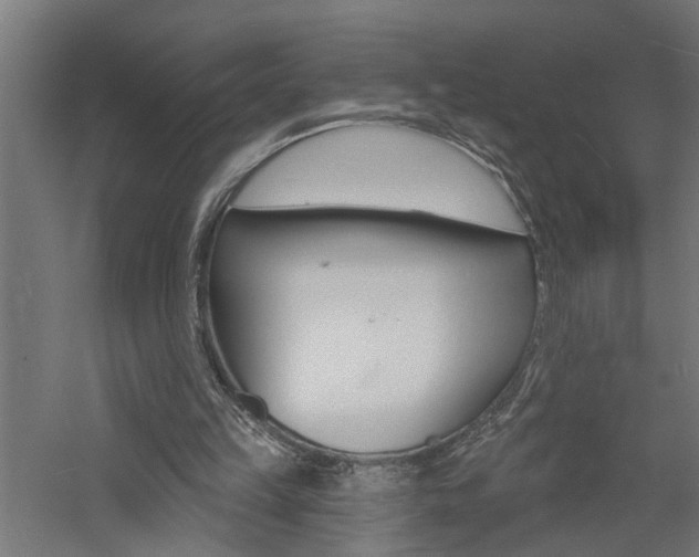 X0000060740149200511100921